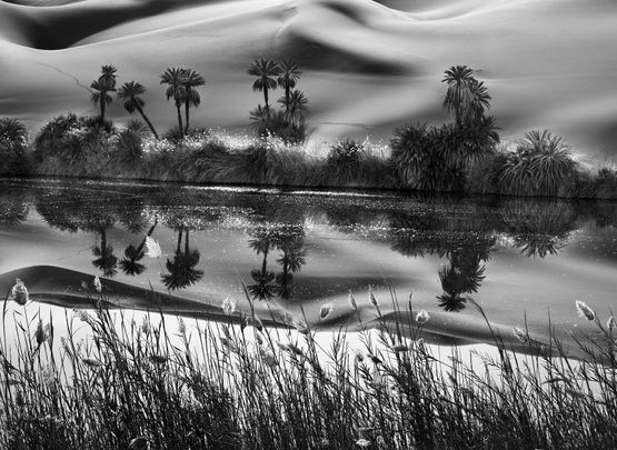 The Erg Ubari a vast expanse of sand dunes has no fresh water but salt lakes Libya by Sebastiao Salgado contemporary artwork Photography