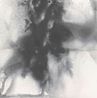 Signal Museo Universitario de Arte Contemporaneo 021123-091723 by Gala Porras-Kim contemporary artwork Drawing