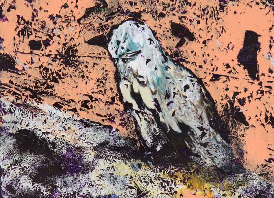 Oiseau laisse pour trace n122 22 by Clement Denis contemporary artwork Works on Paper