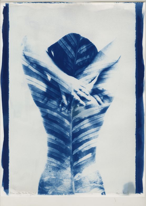 Palms on the Back PHOTOSYNTHESIS Hong Kong by Ben Felten contemporary artwork Photography