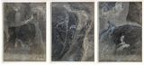 Neither Settled Nor Fully Known iii by Sam Llewellyn-Jones contemporary artwork painting photography textile