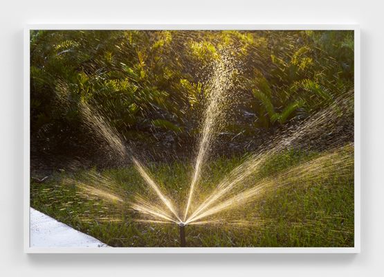 Sprinkler at Dawn in Palm Beach by Roe Ethridge contemporary artwork Photography