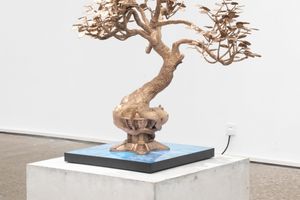 Timur Si-Qin