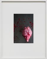 Gehirn Encephalon Leibniz IZW Berlin by Thomas Struth contemporary artwork print