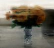 Rosen by Gerhard Richter contemporary artwork Works on Paper