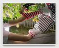 Under The Lemon Tree no. 2 by Torbjrn Rdland contemporary artwork Photography