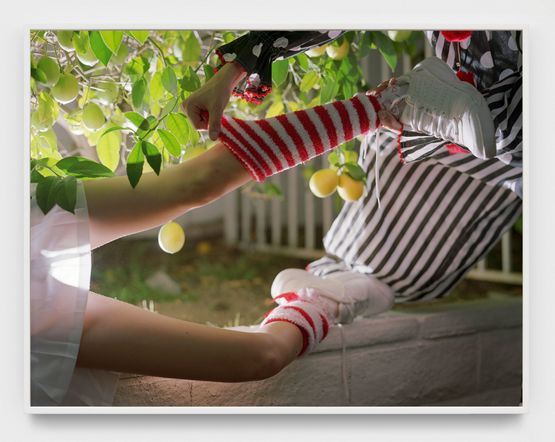 Under The Lemon Tree no. 2 by Torbjrn Rdland contemporary artwork Photography
