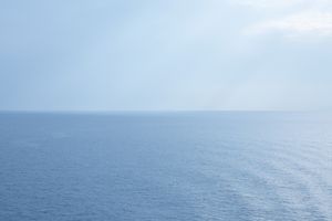 Catherine Opie