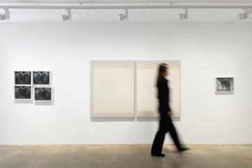 Mikyung Kim contemporary artist