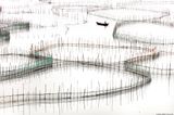 Fujian 17 - Organic Coastal Geometries China by Tugo Cheng contemporary artwork photography print