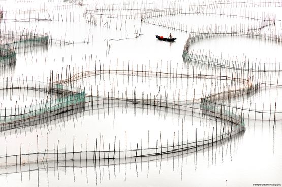 Fujian 17 - Organic Coastal Geometries China by Tugo Cheng contemporary artwork Photography