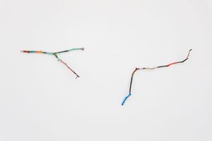 Hayley Tompkins