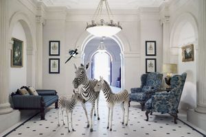 Karen Knorr
