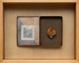 From the series Old news Rose by Larry Munoz contemporary artwork photography sculpture works on paper