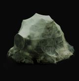Details of HelmetsNature Series Nr. 102 by Liang Shaoji contemporary artwork installation