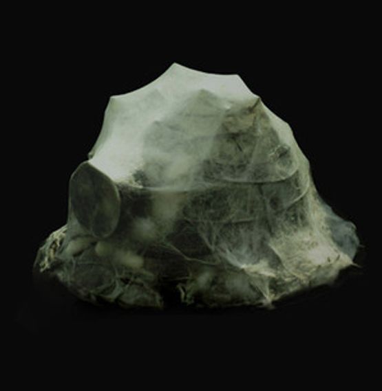 Details of HelmetsNature Series Nr. 102 by Liang Shaoji contemporary artwork Installation
