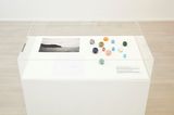 Sculpture for Octopuses Exploring for Their Favorite Colors by Shimabuku contemporary artwork painting sculpture works on paper