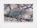 Numbers and Trees Tanzania Series 3 Acacia Tree 3 Shubi by Charles Gaines contemporary artwork Mixed Media