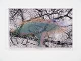 Numbers and Trees Tanzania Series 3 Acacia Tree 3 Shubi by Charles Gaines contemporary artwork mixed media