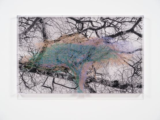 Numbers and Trees Tanzania Series 3 Acacia Tree 3 Shubi by Charles Gaines contemporary artwork Mixed Media