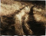 Manifest VIII by Tenzing Dakpa contemporary artwork photography