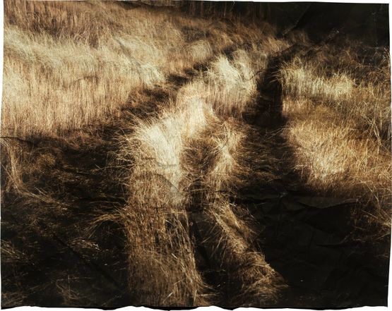 Manifest VIII by Tenzing Dakpa contemporary artwork Photography