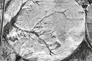 Emmet Gowin