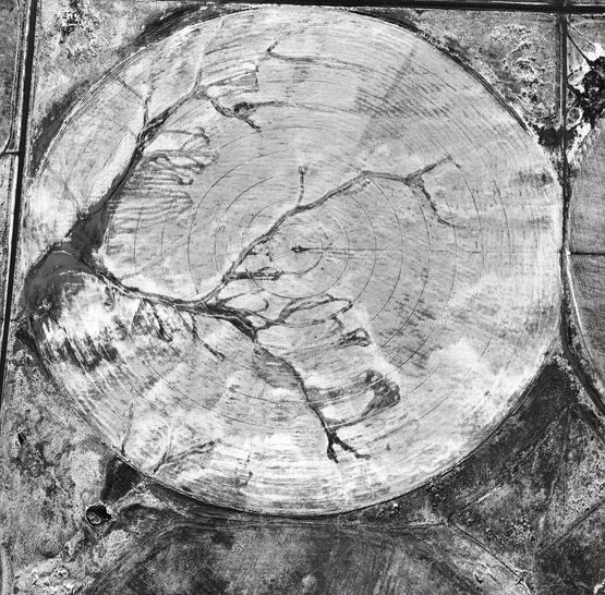 Snow over Natural Drainage Outlined by Cultivation near Liberal Kansas by Emmet Gowin contemporary artwork Painting