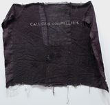 Thurifers Cloak by Clare Milledge contemporary artwork painting