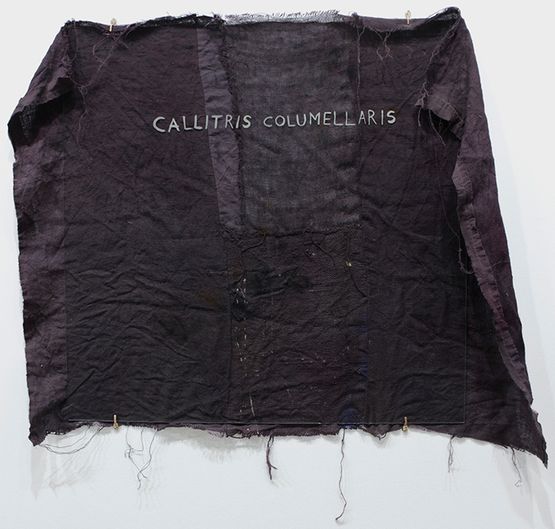 Thurifers Cloak by Clare Milledge contemporary artwork Painting
