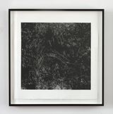 Just be prepared Backyard birds Southtown by Kate Newby contemporary artwork print