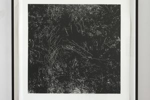 Kate Newby