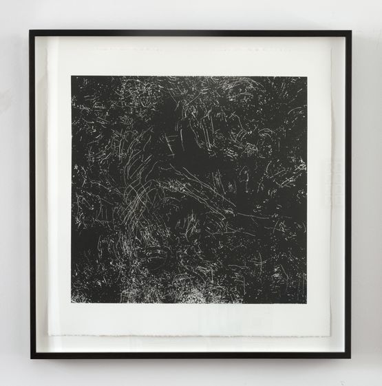 Just be prepared Backyard birds Southtown by Kate Newby contemporary artwork Print