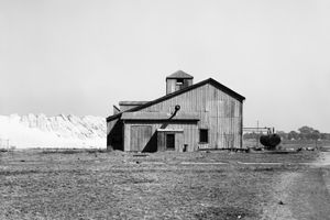 David Goldblatt