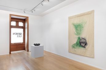 Contemporary art exhibition Mai-Thu Perret Flowers in the Eye at Simon Lee Gallery New York United States