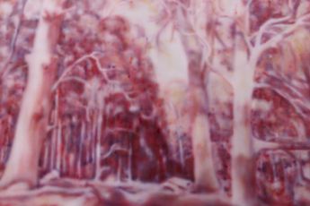 Contemporary art exhibition Fiona Lowry Pink Frost at Martin Browne Contemporary Sydney Australia