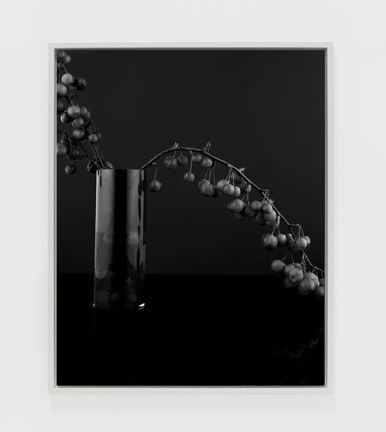 Love Apples I by Sarah Jones contemporary artwork Photography