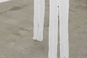 Kate Bohunnis