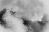 Crystalloid Murmuration by Chen Xiaoyi contemporary artwork print