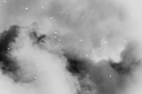 Crystalloid Murmuration by Chen Xiaoyi contemporary artwork Print