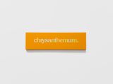 vifth chrysanthemum by Darren Bader contemporary artwork mixed media