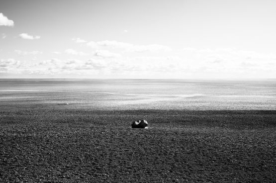 OUT OF NOISE by Ruriko Taguchi contemporary artwork Photography