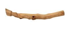 A flame of the forest A series of an observer by Prabhakar Pachpute contemporary artwork Sculpture
