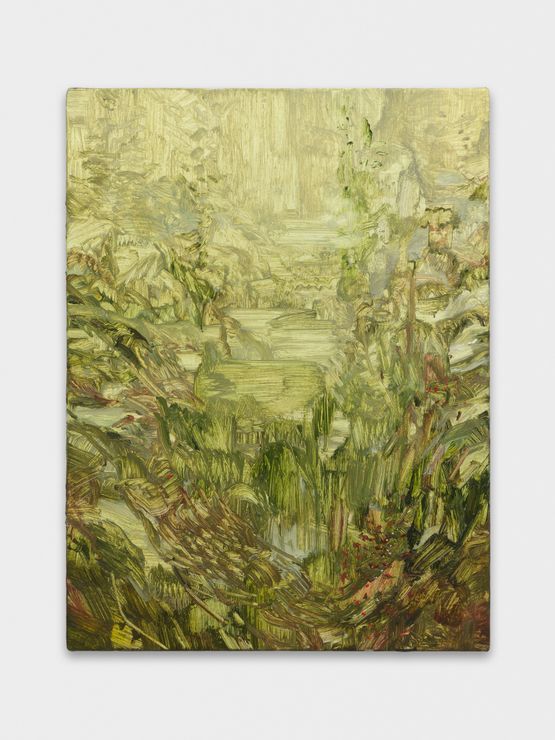 Untitled by Alexandre Wagner contemporary artwork Painting