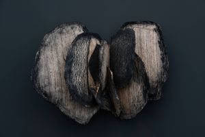 Manal Aldowayan