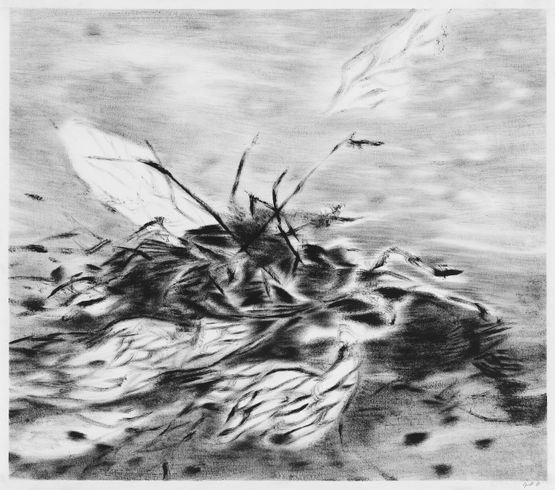 fragment 3 by Julia Steiner contemporary artwork Works on Paper