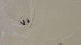 Wave by Tong Wenmin contemporary artwork moving image