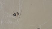 Wave by Tong Wenmin contemporary artwork Moving Image