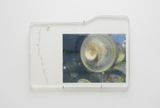 Softbox vitrine by Tianyi Sun contemporary artwork mixed media