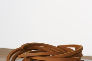 Bernar Venet